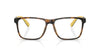 Polo Ralph Lauren PH2257U Shiny Havana #colour_shiny-havana