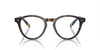 Polo Ralph Lauren PH2268 Shiny Dark Havana #colour_shiny-dark-havana