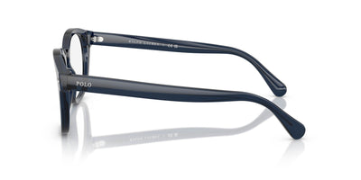 Polo Ralph Lauren PH2272 Shiny Transparent Navy Blue #colour_shiny-transparent-navy-blue