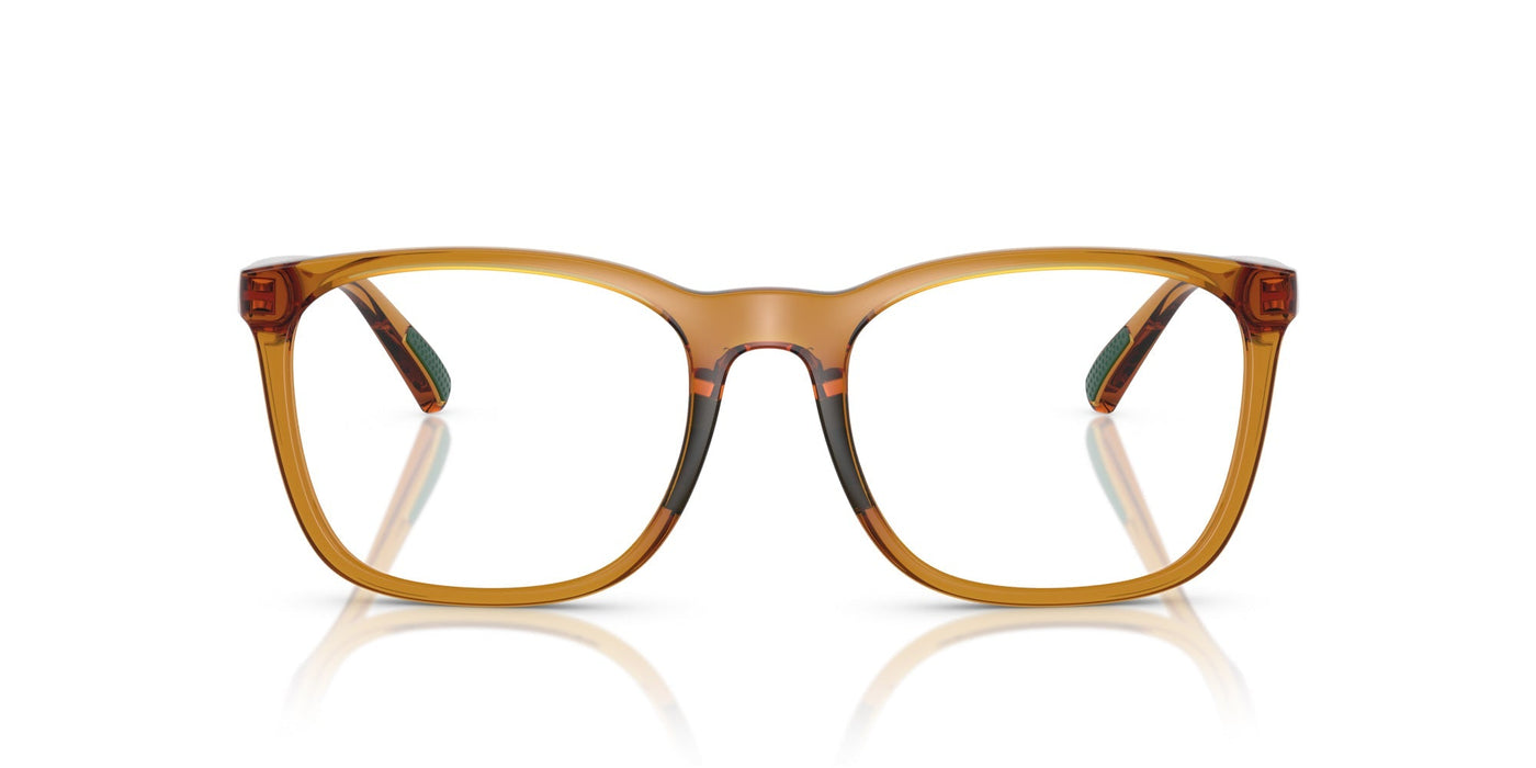 Polo Ralph Lauren PH2281U Shiny Transparent Honey Brown #colour_shiny-transparent-honey-brown