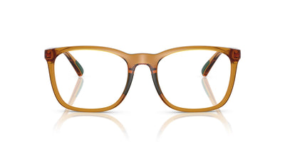 Polo Ralph Lauren PH2281U Shiny Transparent Honey Brown #colour_shiny-transparent-honey-brown