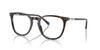 Polo Ralph Lauren PH2288 Shiny Havana #colour_shiny-havana