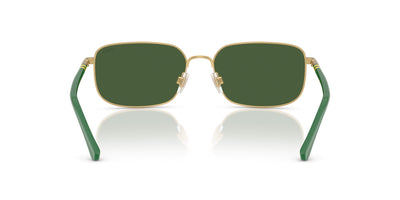 Polo Ralph Lauren PH3159 Semishiny Pale Gold/Bottle Green #colour_semishiny-pale-gold-bottle-green