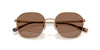 Polo Ralph Lauren PH3160 Semi-Shiny Antique/Dark Brown #colour_semi-shiny-antique-dark-brown