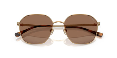 Polo Ralph Lauren PH3160 Semi-Shiny Antique/Dark Brown #colour_semi-shiny-antique-dark-brown