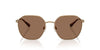 Polo Ralph Lauren PH3160 Semi-Shiny Antique/Dark Brown #colour_semi-shiny-antique-dark-brown