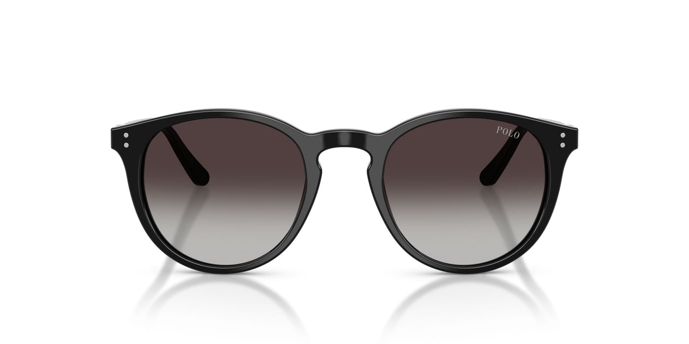 Polo Ralph Lauren PH4110 Shiny Black/Grey Gradient #colour_shiny-black-grey-gradient