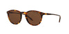 Polo Ralph Lauren PH4110 Dark Tortoise/Brown Polarised #colour_dark-tortoise-brown-polarised