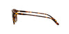 Polo Ralph Lauren PH4110 Dark Tortoise/Brown Polarised #colour_dark-tortoise-brown-polarised