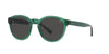 Polo Ralph Lauren PH4192 Shiny Transparent Green/Dark Grey #colour_shiny-transparent-green-dark-grey