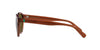 Polo Ralph Lauren PH4192 Shiny Transparent Brown/Dark Brown Olive #colour_shiny-transparent-brown-dark-brown-olive