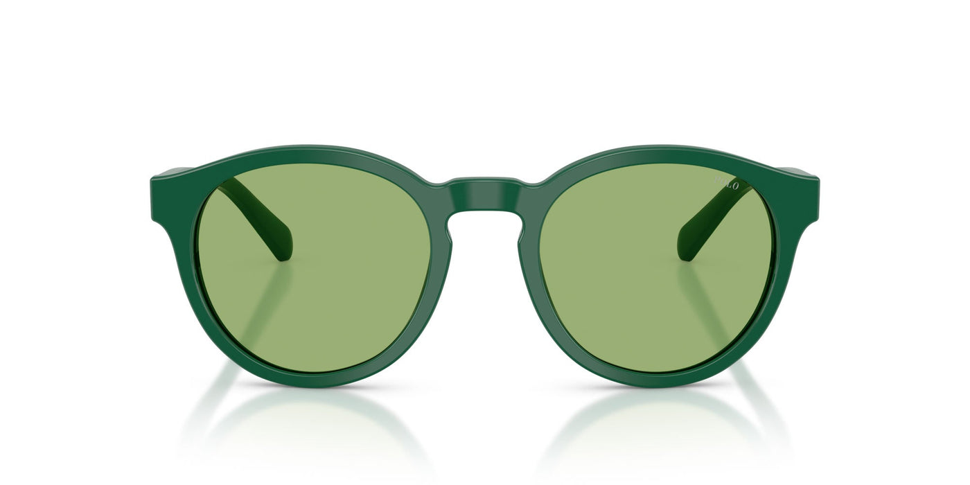Polo Ralph Lauren PH4192 Shiny Dark Green/Light Green #colour_shiny-dark-green-light-green