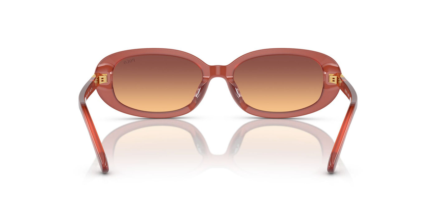 Polo Ralph Lauren PH4198U Opal Cognac/Orange Violet Gradient #colour_opal-cognac-orange-violet-gradient