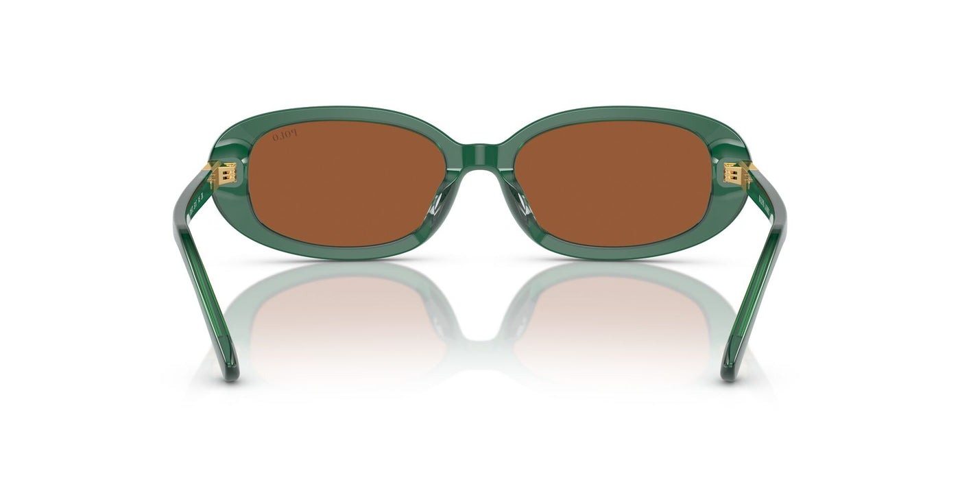 Polo Ralph Lauren PH4198U Shiny Transparent Green/Brown #colour_shiny-transparent-green-brown