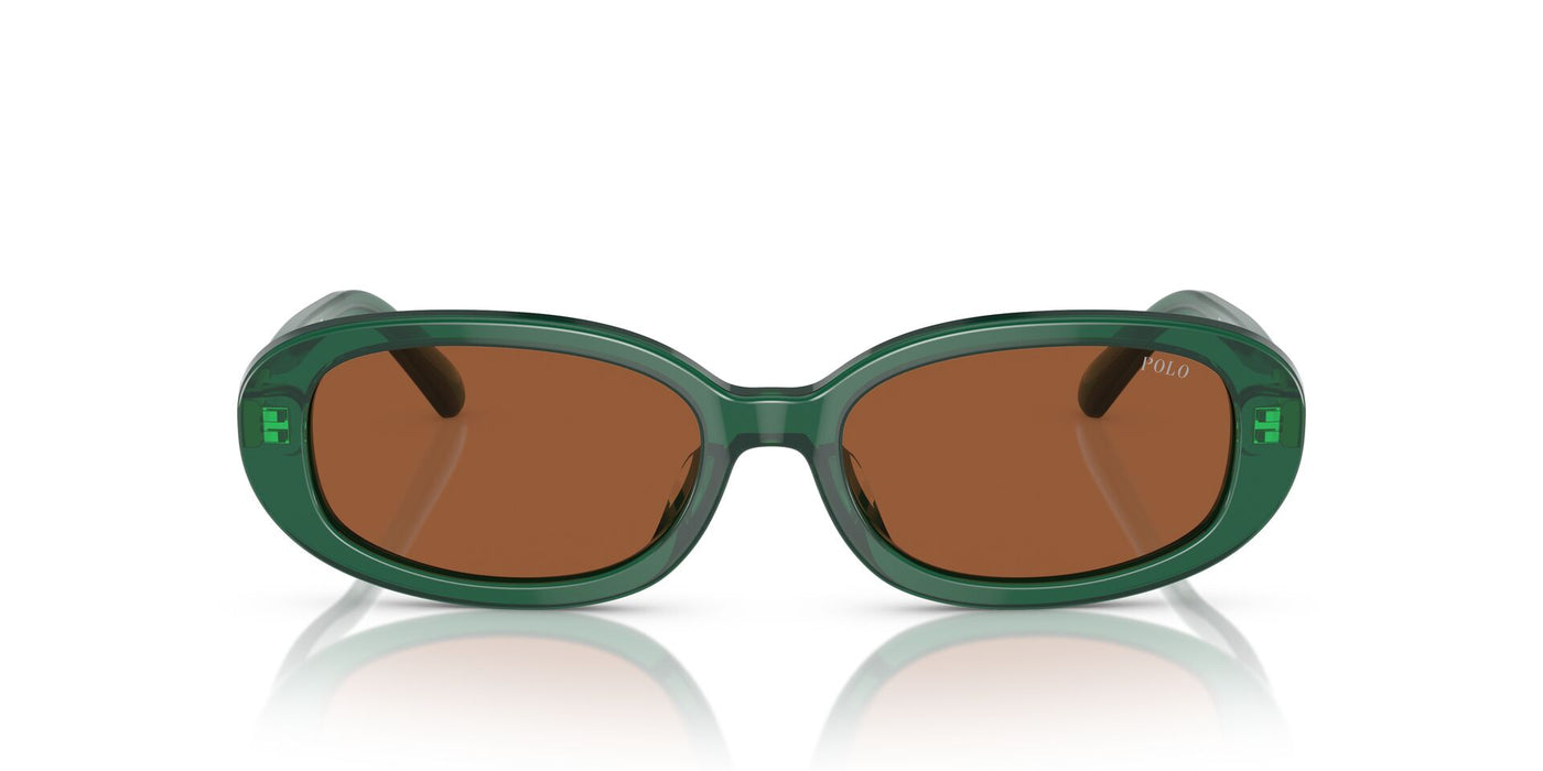 Polo Ralph Lauren PH4198U Shiny Transparent Green/Brown #colour_shiny-transparent-green-brown