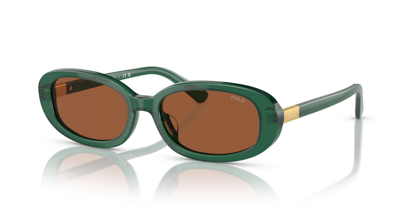 Polo Ralph Lauren PH4198U Shiny Transparent Green/Brown #colour_shiny-transparent-green-brown