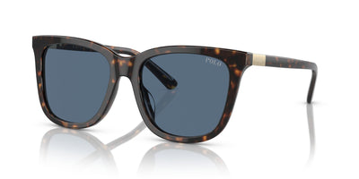 Polo Ralph Lauren PH4201U Shiny Dark Havana/Blue #colour_shiny-dark-havana-blue