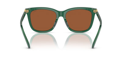 Polo Ralph Lauren PH4201U Shiny Transparent Green/Brown #colour_shiny-transparent-green-brown