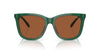 Polo Ralph Lauren PH4201U Shiny Transparent Green/Brown #colour_shiny-transparent-green-brown