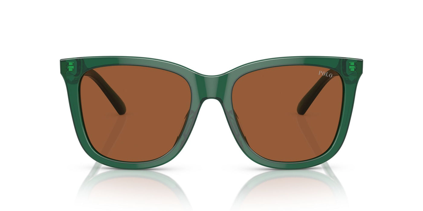 Polo Ralph Lauren PH4201U Shiny Transparent Green/Brown #colour_shiny-transparent-green-brown