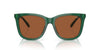 Polo Ralph Lauren PH4201U Shiny Transparent Green/Brown #colour_shiny-transparent-green-brown