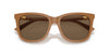 Polo Ralph Lauren PH4201U Shiny Brown/Dark Brown #colour_shiny-brown-dark-brown