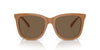 Polo Ralph Lauren PH4201U Shiny Brown/Dark Brown #colour_shiny-brown-dark-brown