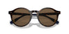 Polo Ralph Lauren PH4204U Shiny Dark Havana/Brown #colour_shiny-dark-havana-brown