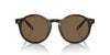 Polo Ralph Lauren PH4204U Shiny Dark Havana/Brown #colour_shiny-dark-havana-brown