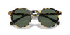 Polo Ralph Lauren PH4204U Tortoise/Dark Green #colour_tortoise-dark-green