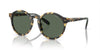 Polo Ralph Lauren PH4204U Tortoise/Dark Green #colour_tortoise-dark-green