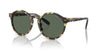 Polo Ralph Lauren PH4204U Tortoise/Dark Green #colour_tortoise-dark-green