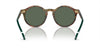 Polo Ralph Lauren PH4204U Shiny Brown Tortoise/Bottle Green #colour_shiny-brown-tortoise-bottle-green