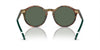 Polo Ralph Lauren PH4204U Shiny Brown Tortoise/Bottle Green #colour_shiny-brown-tortoise-bottle-green