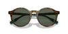 Polo Ralph Lauren PH4204U Shiny Brown Tortoise/Bottle Green #colour_shiny-brown-tortoise-bottle-green