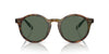 Polo Ralph Lauren PH4204U Shiny Brown Tortoise/Bottle Green #colour_shiny-brown-tortoise-bottle-green