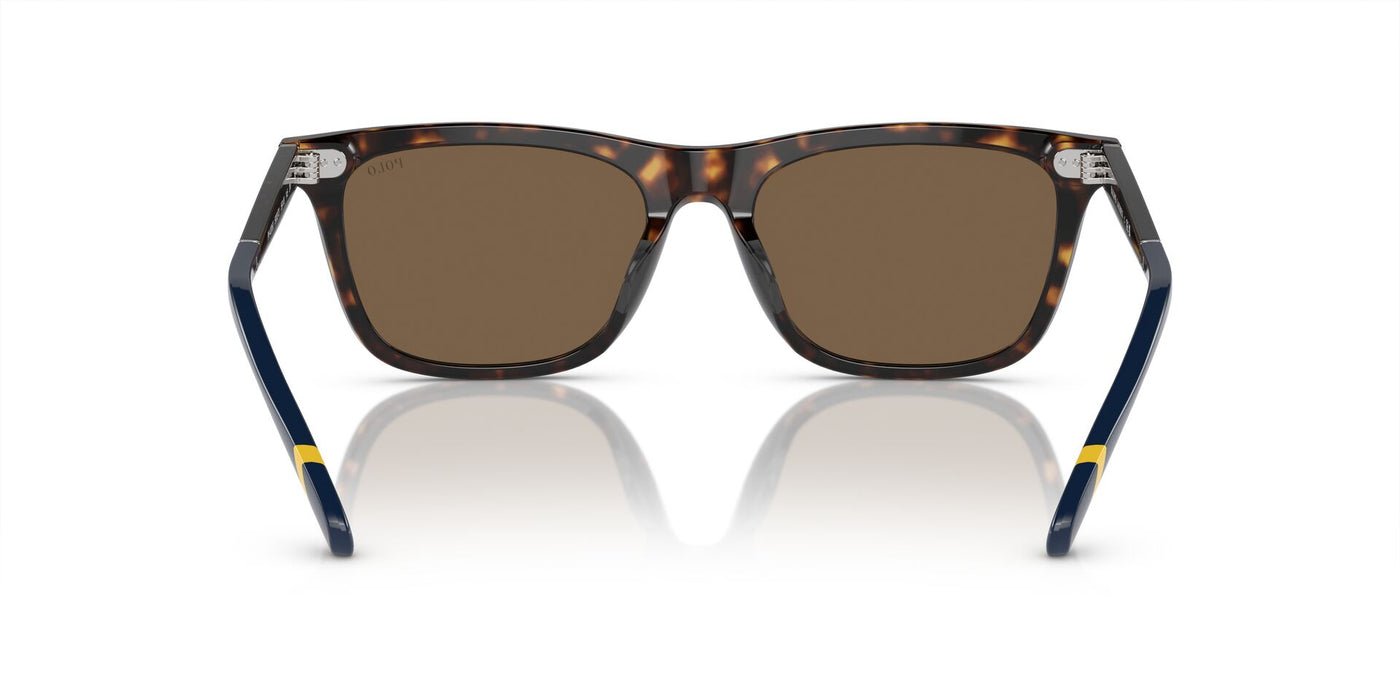 Polo Ralph Lauren PH4205U Shiny Dark Havana/Brown #colour_shiny-dark-havana-brown