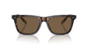 Polo Ralph Lauren PH4205U Shiny Dark Havana/Brown #colour_shiny-dark-havana-brown