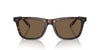 Polo Ralph Lauren PH4205U Shiny Dark Havana/Brown #colour_shiny-dark-havana-brown