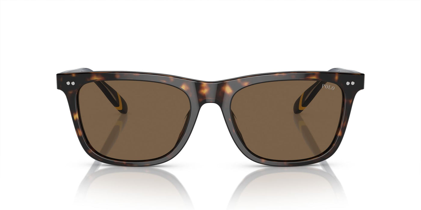 Polo Ralph Lauren PH4205U Shiny Dark Havana/Brown #colour_shiny-dark-havana-brown