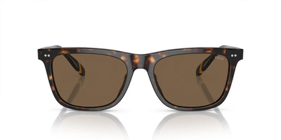 Polo Ralph Lauren PH4205U Shiny Dark Havana/Brown #colour_shiny-dark-havana-brown