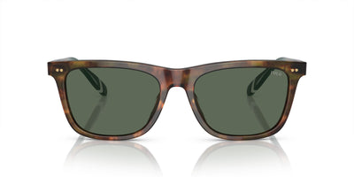 Polo Ralph Lauren PH4205U Shiny Brown Tortoise/Bottle Green #colour_shiny-brown-tortoise-bottle-green