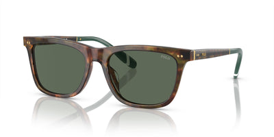 Polo Ralph Lauren PH4205U Shiny Brown Tortoise/Bottle Green #colour_shiny-brown-tortoise-bottle-green