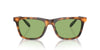 Polo Ralph Lauren PH4205U Shiny Red Havana/Light Green #colour_shiny-red-havana-light-green