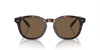 Polo Ralph Lauren PH4206 Shiny Dark Havana/Brown #colour_shiny-dark-havana-brown