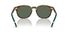 Polo Ralph Lauren PH4206 Shiny Brown Tortoise/Bottle Green #colour_shiny-brown-tortoise-bottle-green