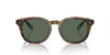 Polo Ralph Lauren PH4206 Shiny Brown Tortoise/Bottle Green #colour_shiny-brown-tortoise-bottle-green