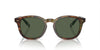Polo Ralph Lauren PH4206 Shiny Brown Tortoise/Bottle Green Polarised #colour_shiny-brown-tortoise-bottle-green-polarised