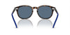 Polo Ralph Lauren PH4206 Shiny Havana/Blue #colour_shiny-havana-blue