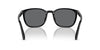 Polo Ralph Lauren PH4208U Shiny Black/Grey Polarised #colour_shiny-black-grey-polarised